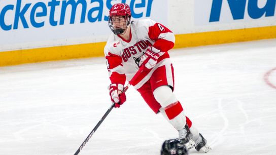 Ranking the Top 20 Bruins prospects (20-11): No shortage of Hockey East representation in Boston's cupboard taken at BSJ Headquarters (Bruins)
